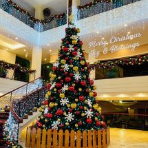 Singapore Swimming Club Christmas Decoration 2021